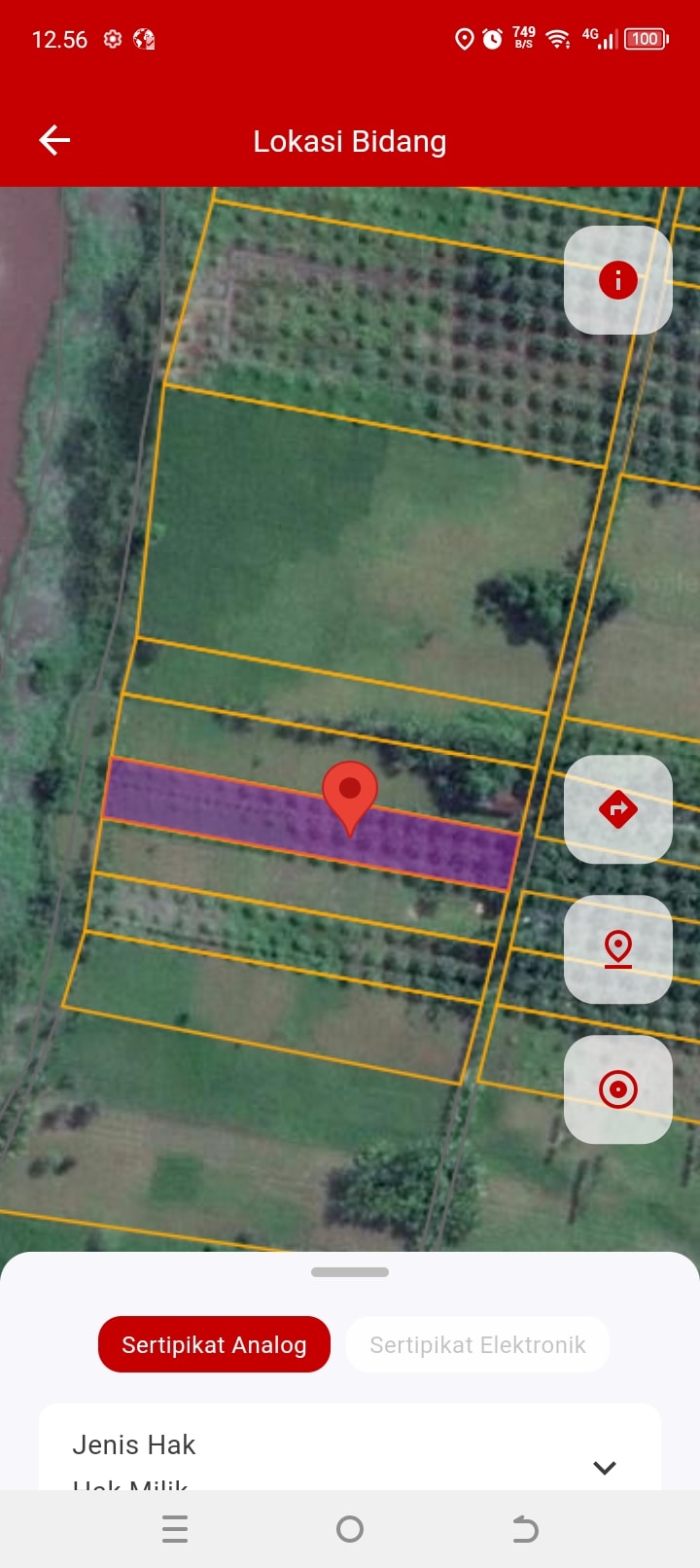Sewa Tanah Lahan Kelapa Sawit 2.000m2